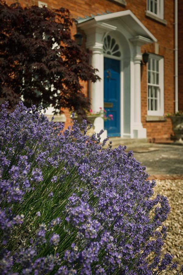 Great Alne Alne Park Bed & Breakfast エクステリア 写真